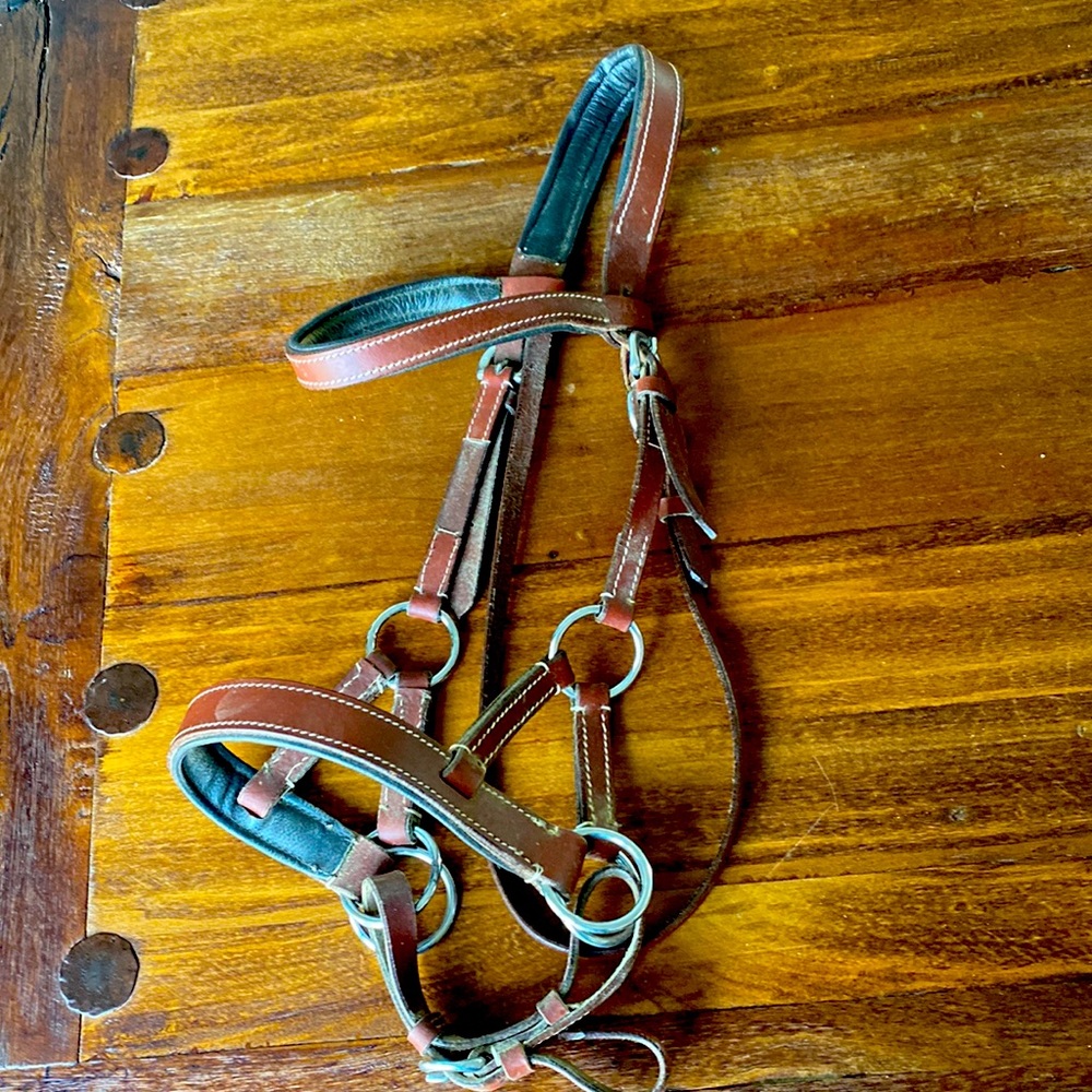 Bitless Bridle Headstall